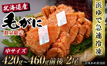 北海道産 冷凍ボイル毛ガニ (420g-460g前後)2尾