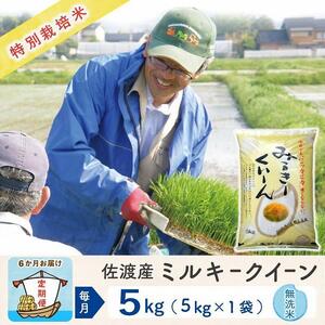  佐渡島産ミルキークイーン 無洗米5Kg 特別栽培米