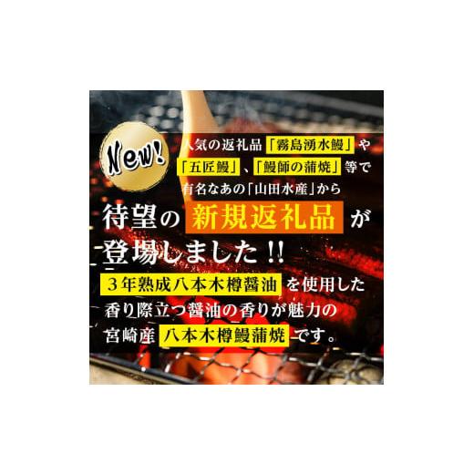 ふるさと納税 鹿児島県 志布志市 特大! 国産 八本木樽鰻の蒲焼(186g以上×5尾) きざみ鰻50g付き! c0-104-kizami