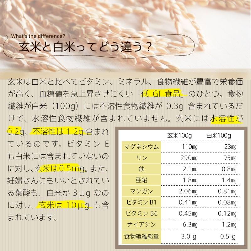 5年保存 非常食 AST 新・備 玄米リゾット カレー味 ごはん アレルゲンフリー 10袋セット