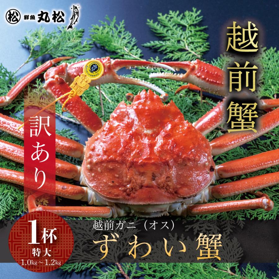 かに カニ 蟹 訳あり 越前がに 越前蟹 ずわい蟹 ズワイガニ ずわいがに 姿 送料無料 お歳暮 ギフト プレゼント お祝い 特大サイズ 1.0kg〜1.2kg 1杯