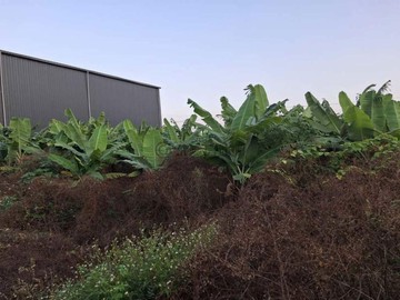 大寮赤崁 *近88快速道路*都計內農地01532｜高雄市大寮區赤崁段潮州寮小段