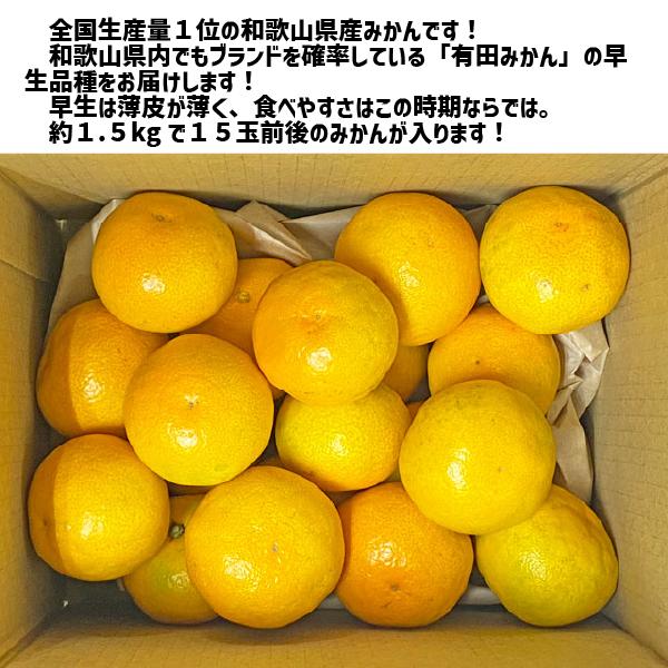 和歌山県産 有田みかん 早生 約1.5kg (15玉前後) 有田産 みかん ゆら 田口 宮川 早生品種 ミカン 贈答 ギフト