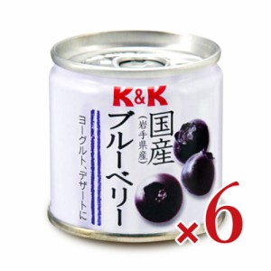 国分 KK 国産 ブルーベリー缶 80g × 6個