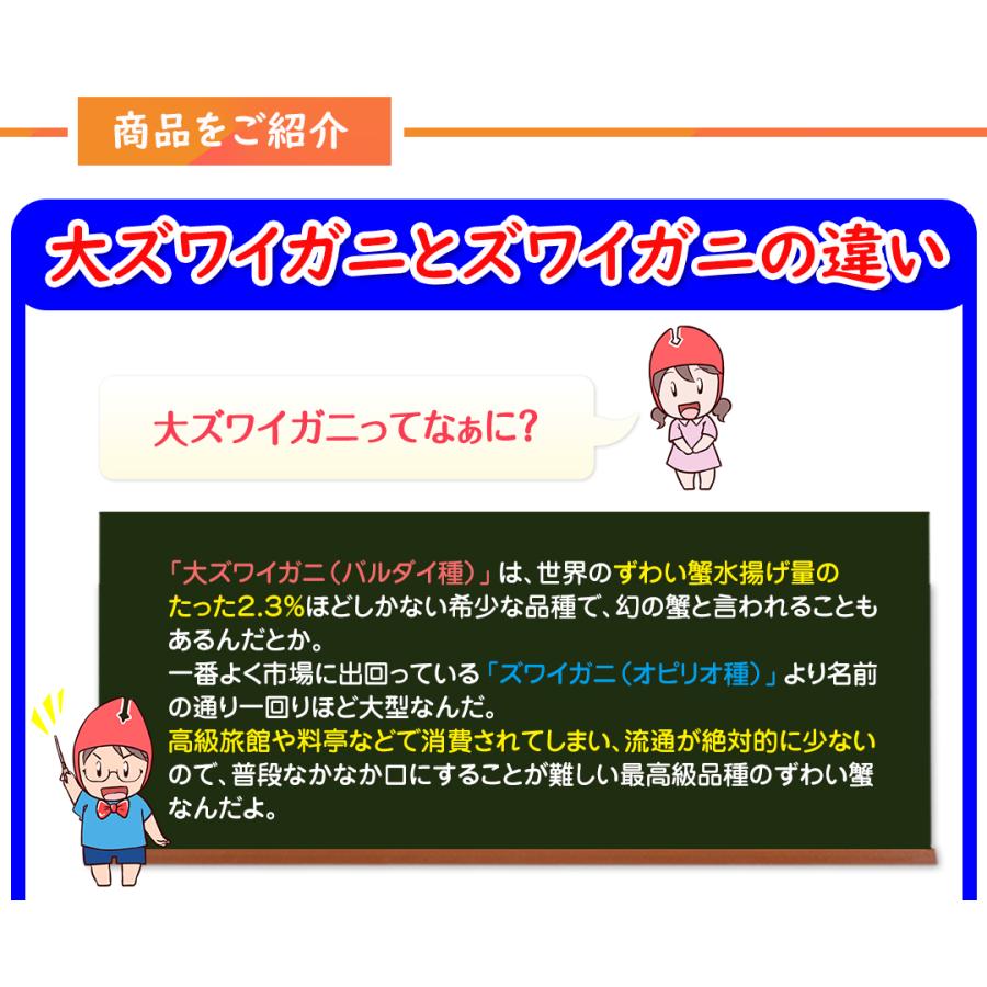 超特大10Lボイル大ずわい半むき身満足セット1kg超