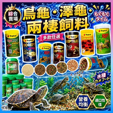 放風爬蟲【烏龜、澤龜、兩棲飼料🐢】兩棲爬蟲 乾蝦 烏龜飼料 烏龜專用飼料 烏龜缸 補鈣 澤龜 地圖龜 巴西龜 陸龜 水龜