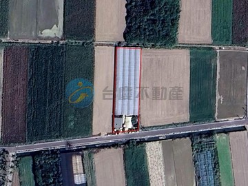 將軍市區罕見溫室超大農地｜台南市將軍區苓子寮段一小段