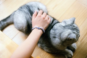 主人手绳/宠物主人同款客製化