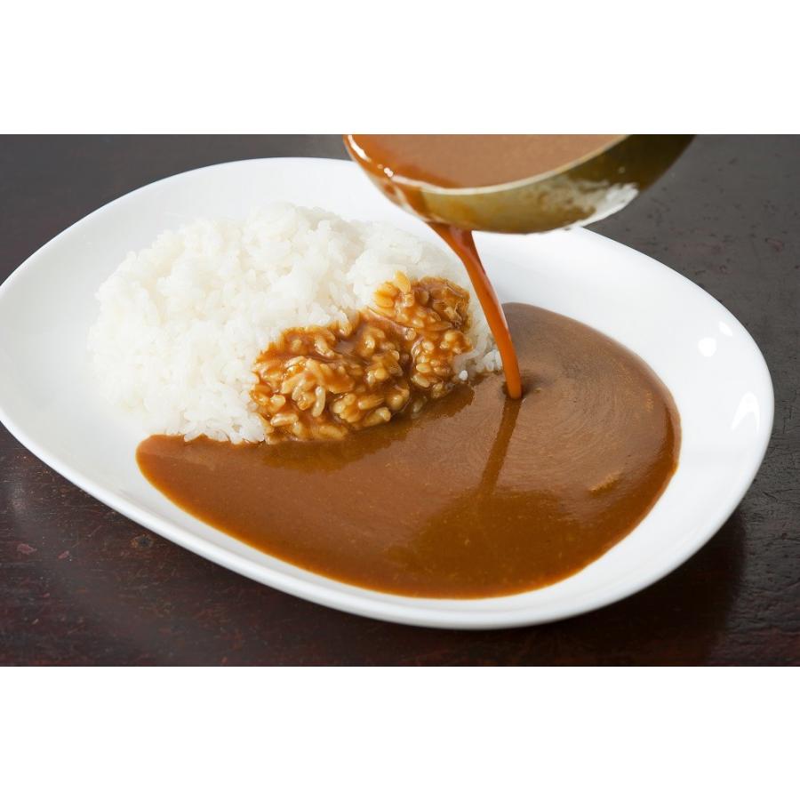 博多ナイル生カレースペシャル200g