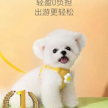 小狗狗牽引繩背心式遛狗繩子泰迪比熊小型犬胸背帶外出狗鏈子寵物