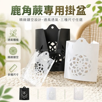桃園出貨✨ 鹿角蕨掛板定植板熱植洞洞板上板蕨類石斛附生蘭薯條盒育苗盒