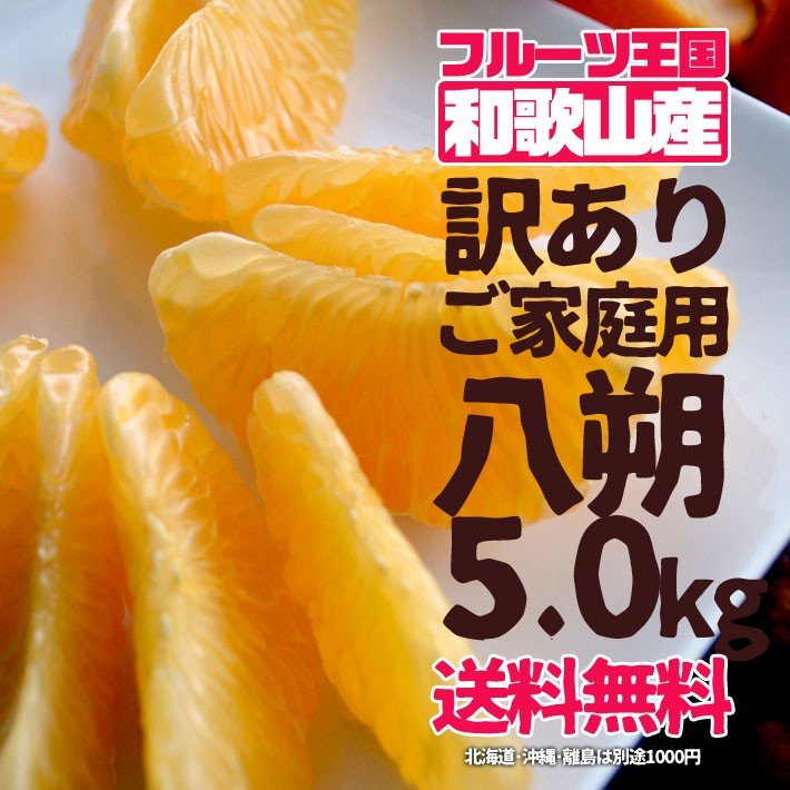 八朔 はっさく 訳あり ご家庭用 5kg（箱込約5kg） 送料無料