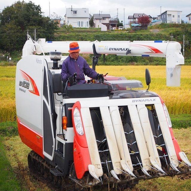 米 岩手県雫石産 古代米：朝紫玄米 ５００g 袋 送料無料