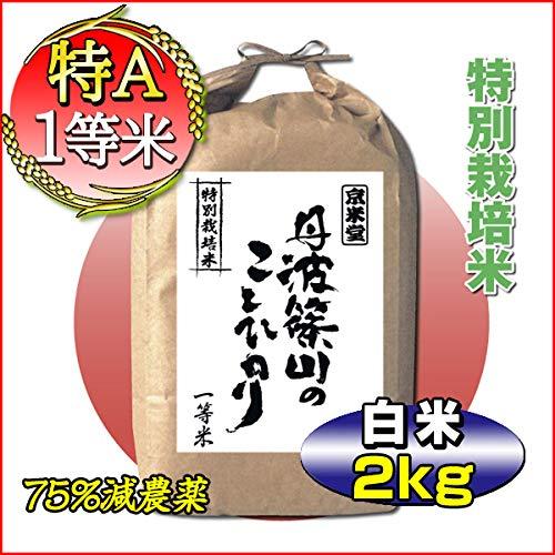  お米 2kg コシヒカリ 白米 7.5割農薬減 兵庫県 丹波ささ山産 一等米 令和5年産