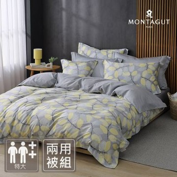MONTAGUT-60支300織紗長絨棉兩用被床包組(銀杏日和-特大)