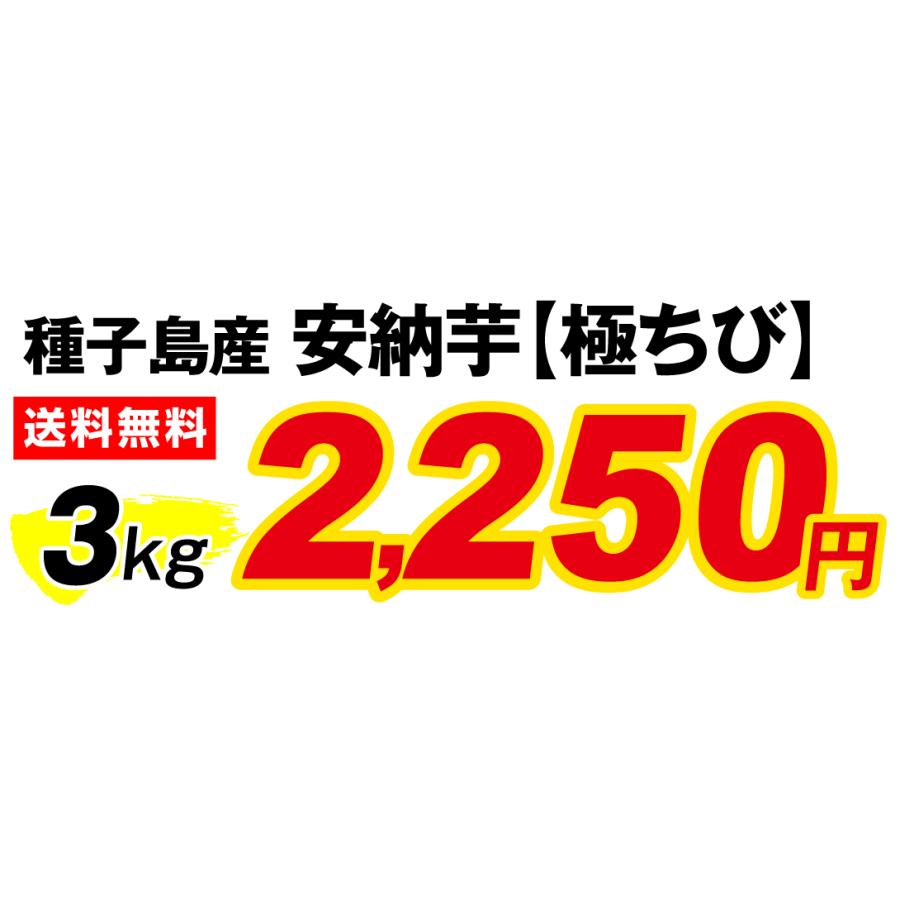 さつまいも 3kg 安納芋・極ちび 種子島産 ご家庭用 送料無料 食品