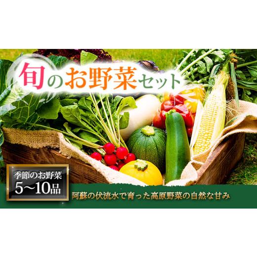 ふるさと納税 熊本県 阿蘇市 ＜畑から直送＞季節のお野菜セット