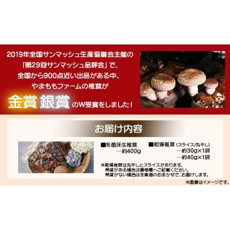 ふるさと納税 やまももファーム椎茸 冬菌はちきん生椎茸と乾燥椎茸のセット(合計約470g) しいたけ きのこ キノコ 野菜 国産 yo-0014 高知県香南市