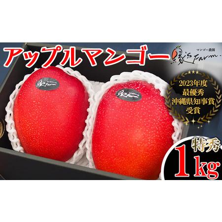 ふるさと納税 縁sファームのアップルマンゴー1kg（特秀） 沖縄県糸満市