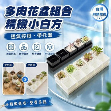 免運💒臺灣熱銷🐬種多肉植物的花盆組合塑料創意精緻小白方帶托盤透氣一體控根專用