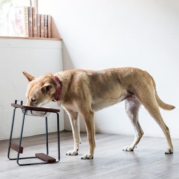 原木寵物托高碗架  L/胡桃木色