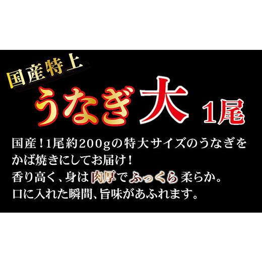 ふるさと納税 福井県 越前市 国産！特上うなぎのかば焼き 約200g × 1尾