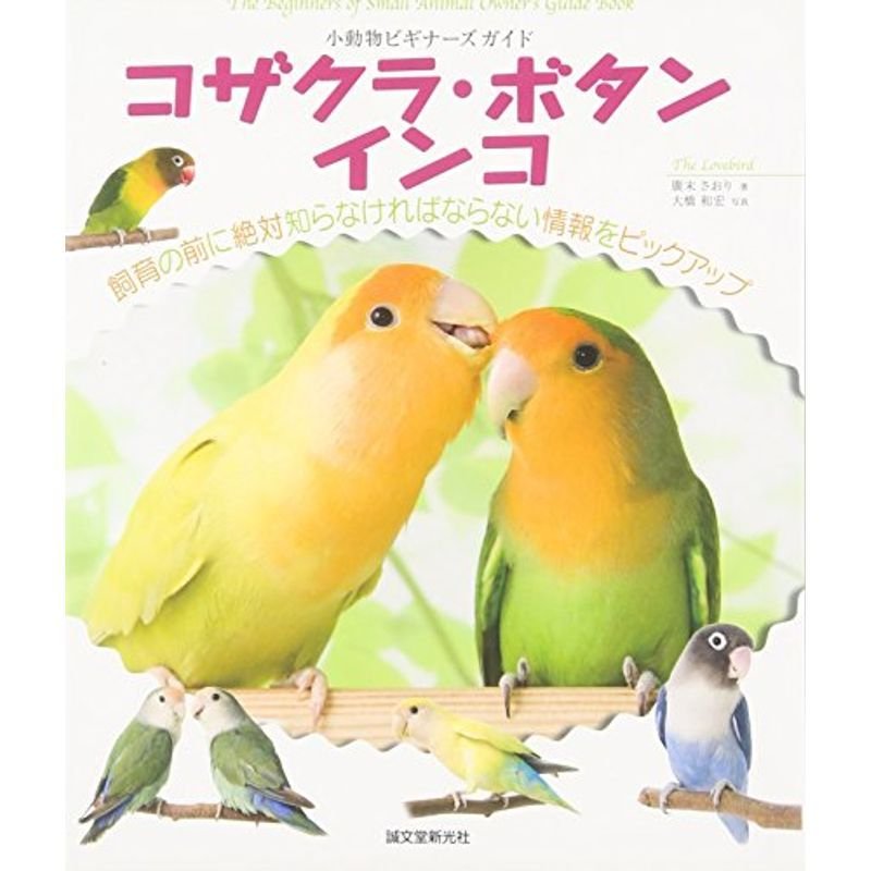 コザクラ・ボタンインコ?小動物ビギナーズガイド (SMALL ANIMAL POCKET BOOK SERIES)