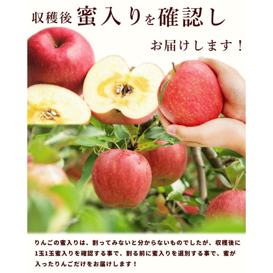 りんご サンふじ 山形県 東根市 蜜入りサンふじ 秀品 3kg 9〜11個 12月上旬頃から発送 ギフト 送料込