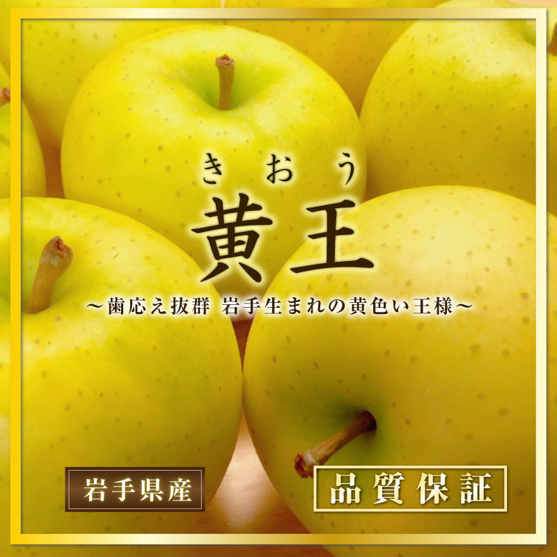 [最短順次発送]  きおう 5-6玉 大玉 約 2kg 化粧箱 秋ギフト りんご リンゴ 長野県 青森県 岩手県 ほか 果実専用箱