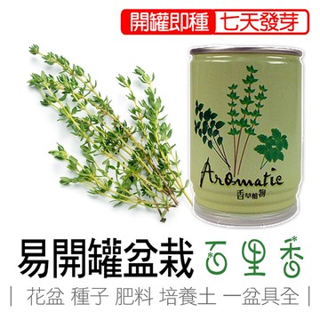 【心安購物】iPlant易開罐盆栽-百里香