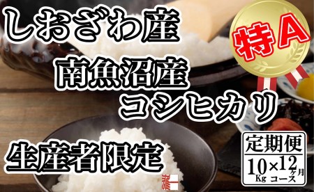 生産者限定 契約栽培 南魚沼しおざわ産コシヒカリ