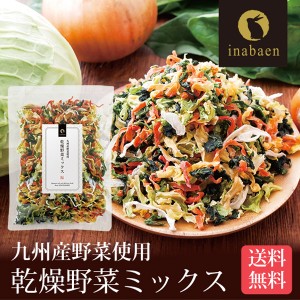 九州産乾燥野菜ミックス メール便 送料無料 乾燥野菜 野菜 野菜ミックス 時短 手軽 便利 カット野菜 ポイント消化 日本橋いなば園