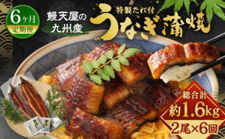 鰻天屋の 九州産 うなぎ 蒲焼 約140g×2尾 セット