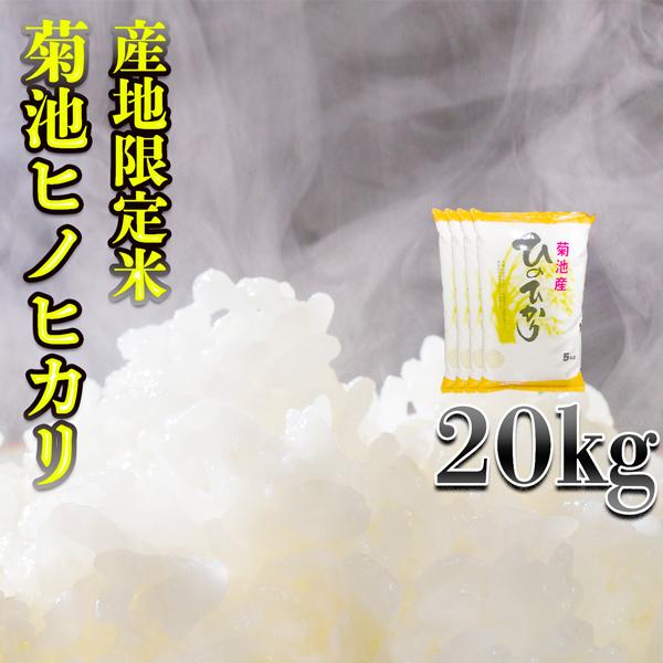 お米 米 20kg 白米 熊本県 菊池産 ひのひかり あすつく 新米 令和5年産 ヒノヒカリ 5kg4個 産地限定米 くまもとのお米 富田商店 とみた商店