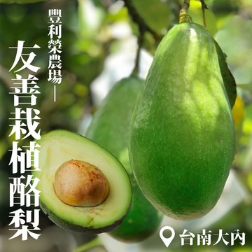 【十翼饌選果】豐利榮農場 無毒酪梨5台斤(友善栽植)