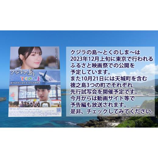 ふるさと納税 鹿児島県 天城町 「クジラの島」 制作記念特別セット 徳之島産乾燥きくらげ(みんぐい) 80g(40g×2袋) ミニエコバック どすこいカレー H-4-N