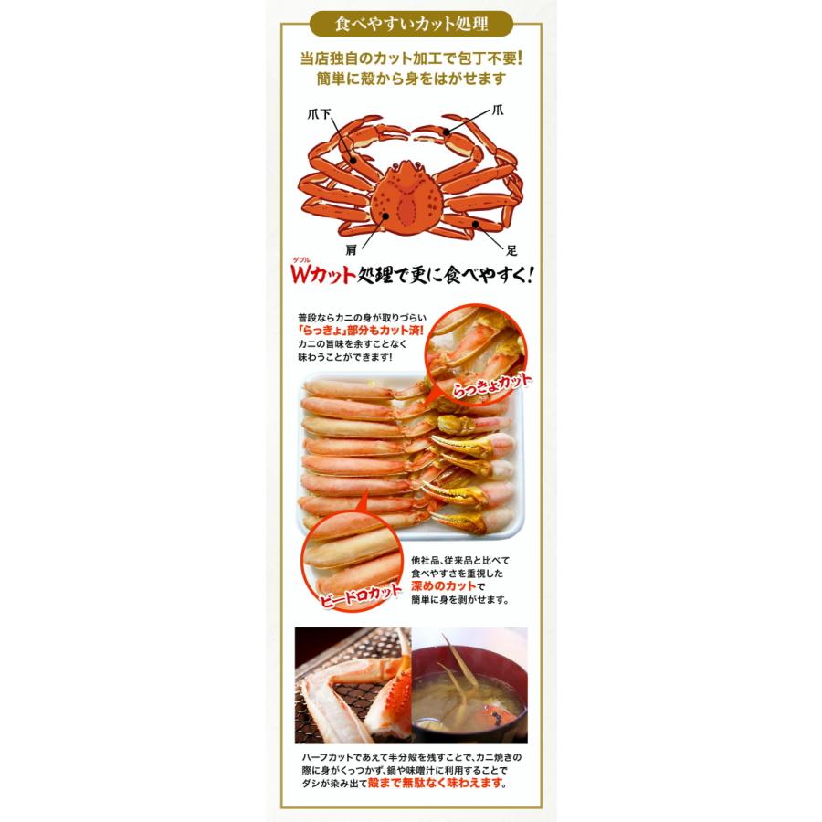 カット 生 ズワイガニ 総重量800g ハーフポーション かにしゃぶ 生食可 刺身 かに カニ 蟹 ずわいがに