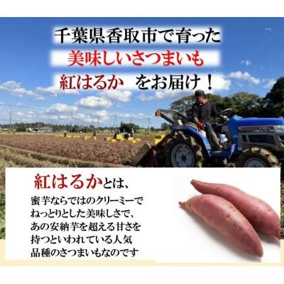 ふるさと納税 香取市 千葉県香取市産さつまいも 無選別紅はるか　5キロ(2S〜M)