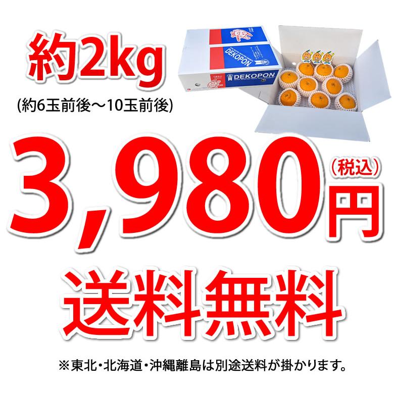 みかん デコポン 光センサー選果 約2kg 送料無料 御歳暮 ギフト DEKOPON  熊本県産  不知火 フルーツ お取り寄せ 蜜柑 ミカン