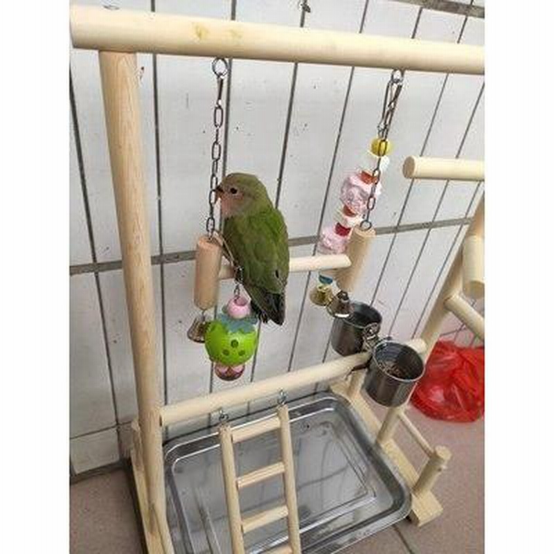 オウムにもインコにも♪ 止まり木スタンド 遊び場 ペット 文鳥 