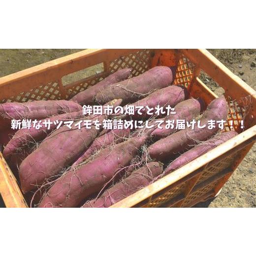 ふるさと納税 茨城県 鉾田市 紅あずま（泥付き無選別）10kg（5kg×2箱）