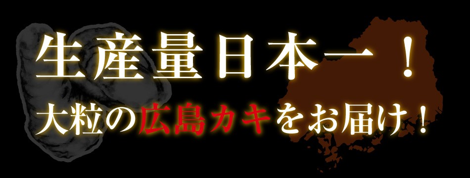 かき 牡蠣 2kg 1kgあたり2899円 2L ジャンボ 広島かき 剥き身2kg 正味1.7kg 広島県能美島周辺 清浄海域産 広島かき 約60粒 剥身 IQF個別冷凍 加熱用