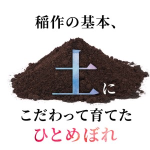 〈定期便〉ひとめぼれ 白米 5kg×5回 計25kg 2ヶ月毎 令和5年 精米 土づくり実証米 毎年11月より 新米 出荷