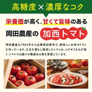 ふるさと納税 加西とまと（2024年度産）4kg 兵庫県加西市