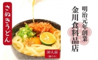 二段熟成半生さぬきうどん30人前（300g×10袋）