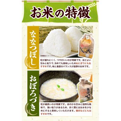 ふるさと納税 当別町 野口農園玄米お米セット10kg「ななつぼし・おぼろづき」