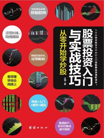 【電子書】股票投资入门与实战技巧