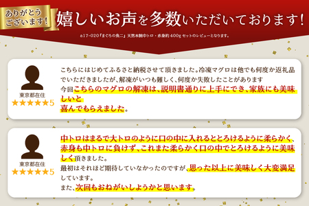 a17-020　『まぐろの魚二』天然本鮪中トロ・赤身約400gセット