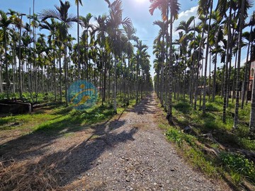 內埔啤酒廠農地M｜屏東縣內埔鄉溝底段