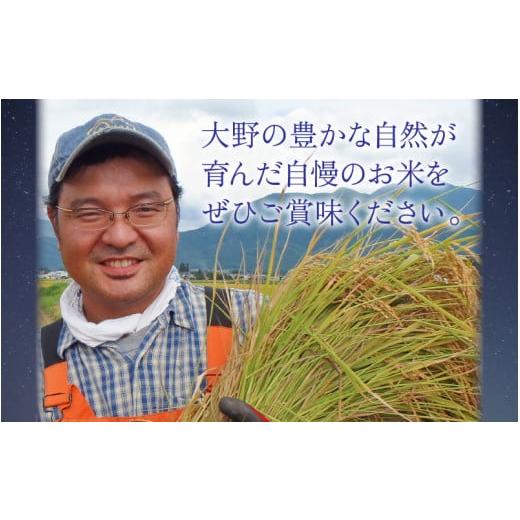 ふるさと納税 福井県 大野市 星降るまち 越前大野の「満天コシヒカリ」白米 5kg × 6回 計 30kg 農薬・化学肥料50%以上カッ…